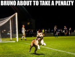 Bruno memes