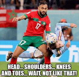 Toes memes