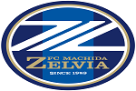 Machida zelvia