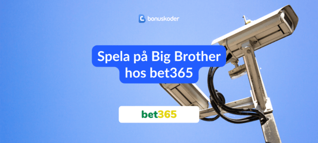 betta pa big brother 2024