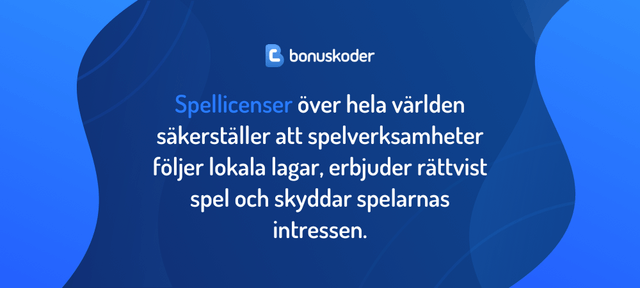 spellicens vad ar det